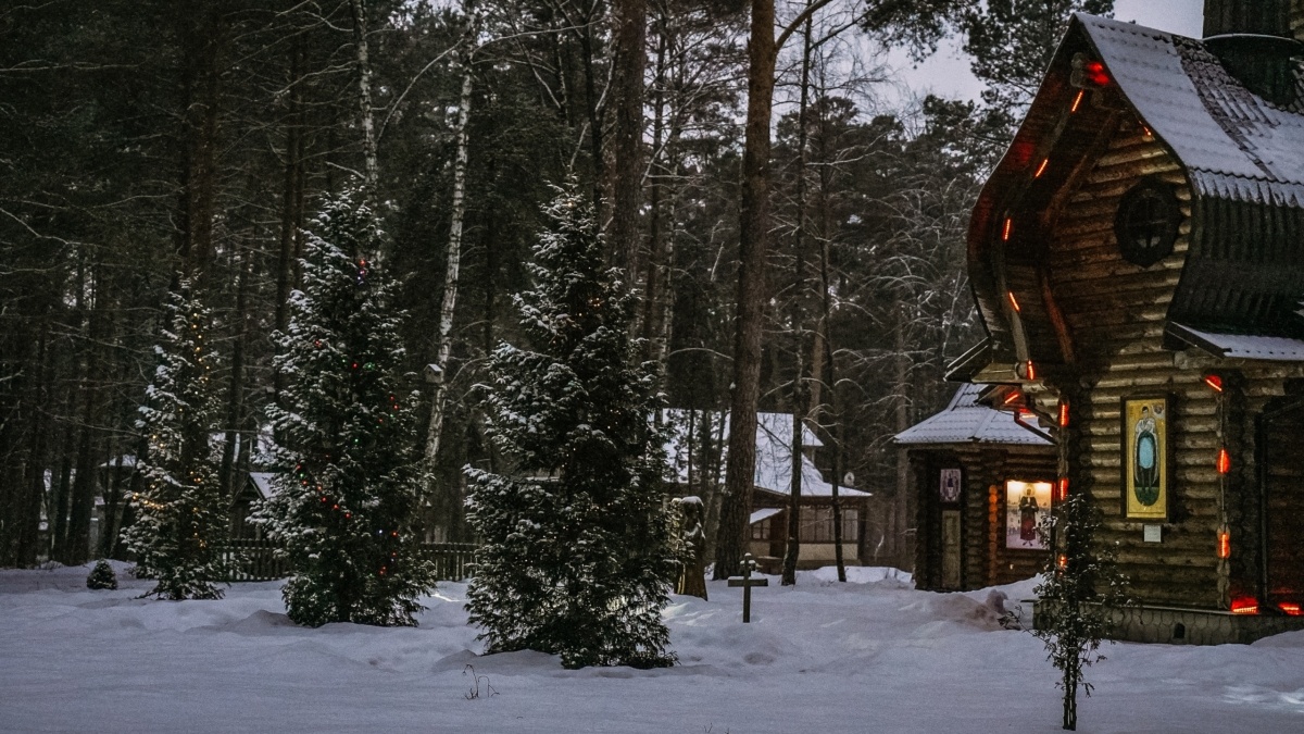 Светлана Мулыкина📷

