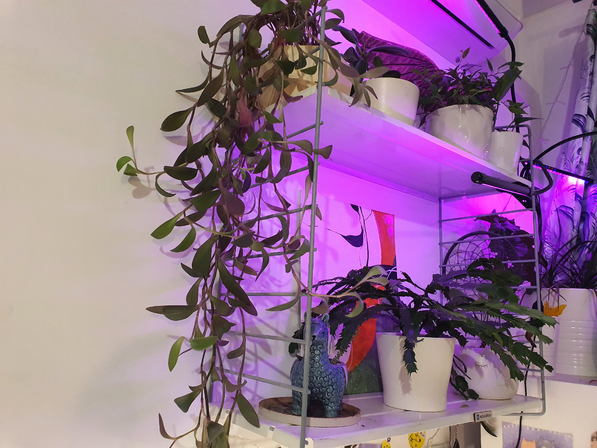 Остатки былой роскоши