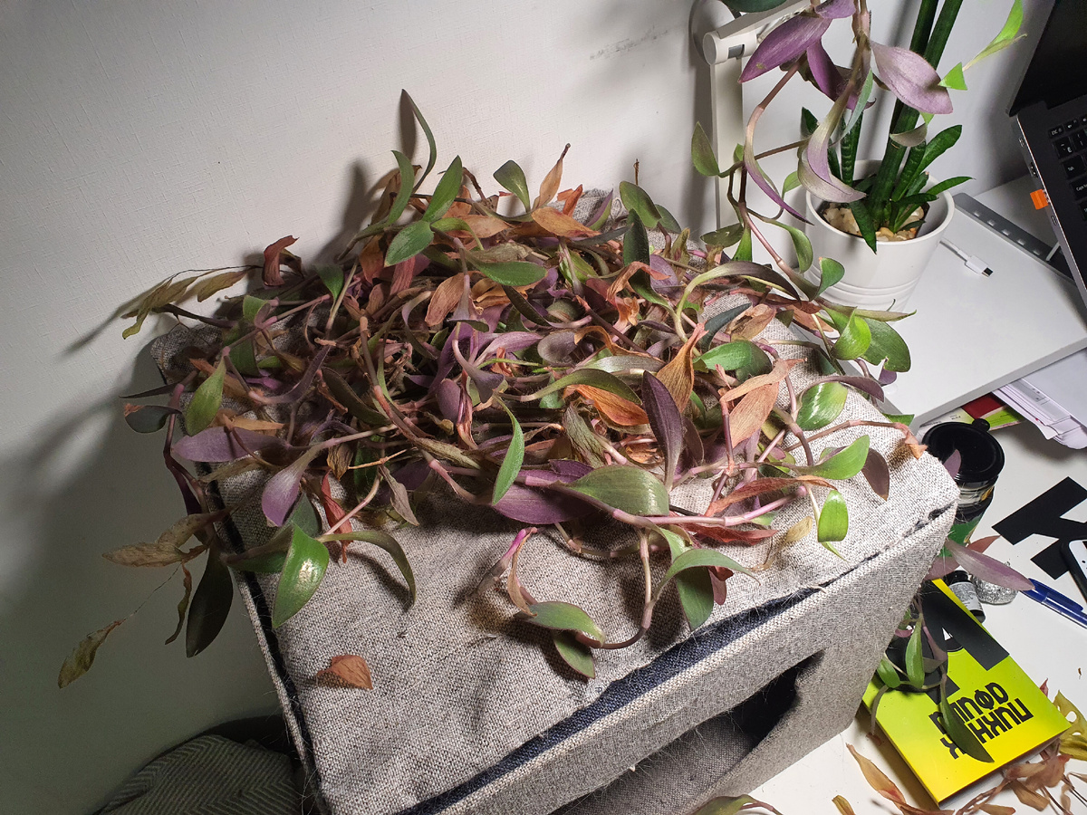 Что пришлось срезать