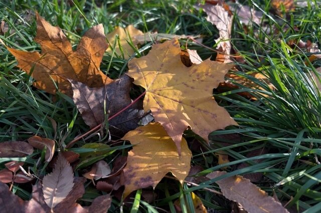    Фото: АиФ/ Юлия Францова