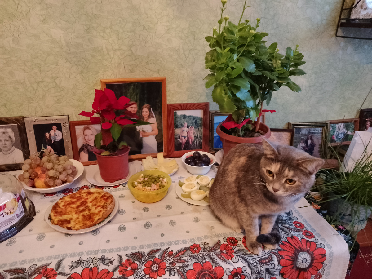 Фото автора, у мамы в гостях маме день рождения