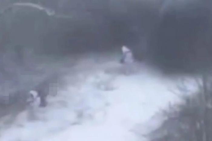 Обложка © «Северный ветер»