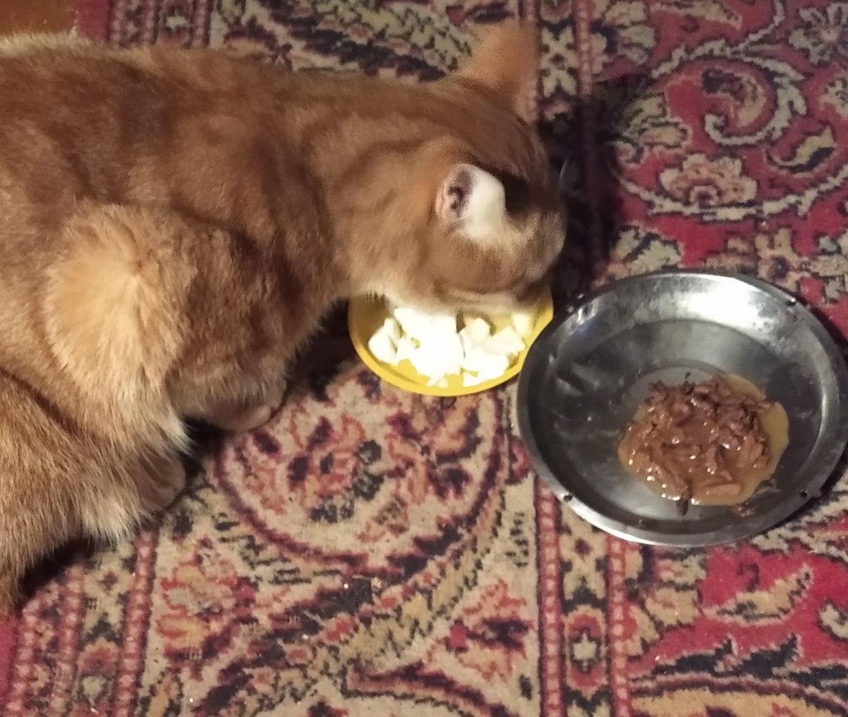 личное  фото