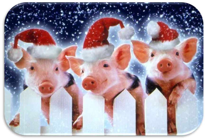 ГОД СВИНЬИ В 2007, 2019, 2031 ГОДАХ И ДАЛЕЕ. Изображение взято из открытых источников в интернете. 