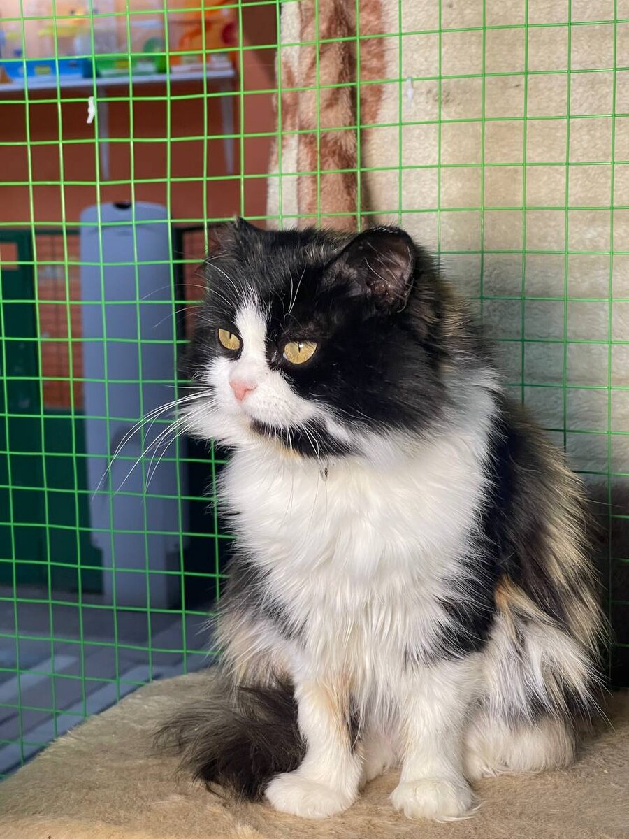 Красота красотее всех красотов