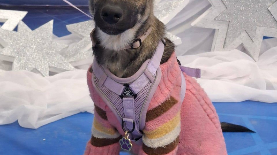 Соня была сегодня на выставке ,но увы