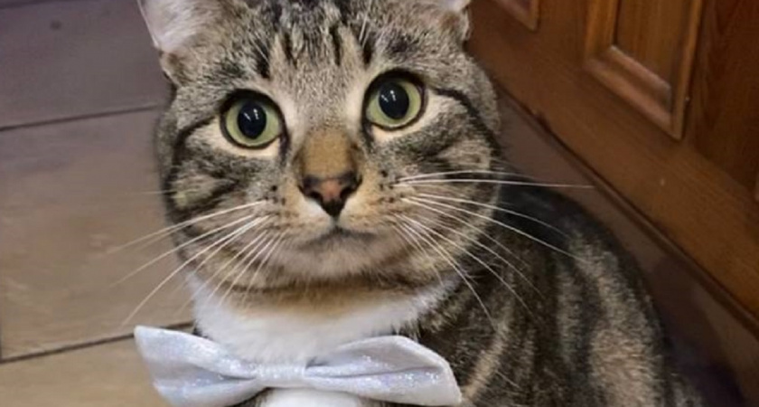    Фото Анастасии Дмитриевой