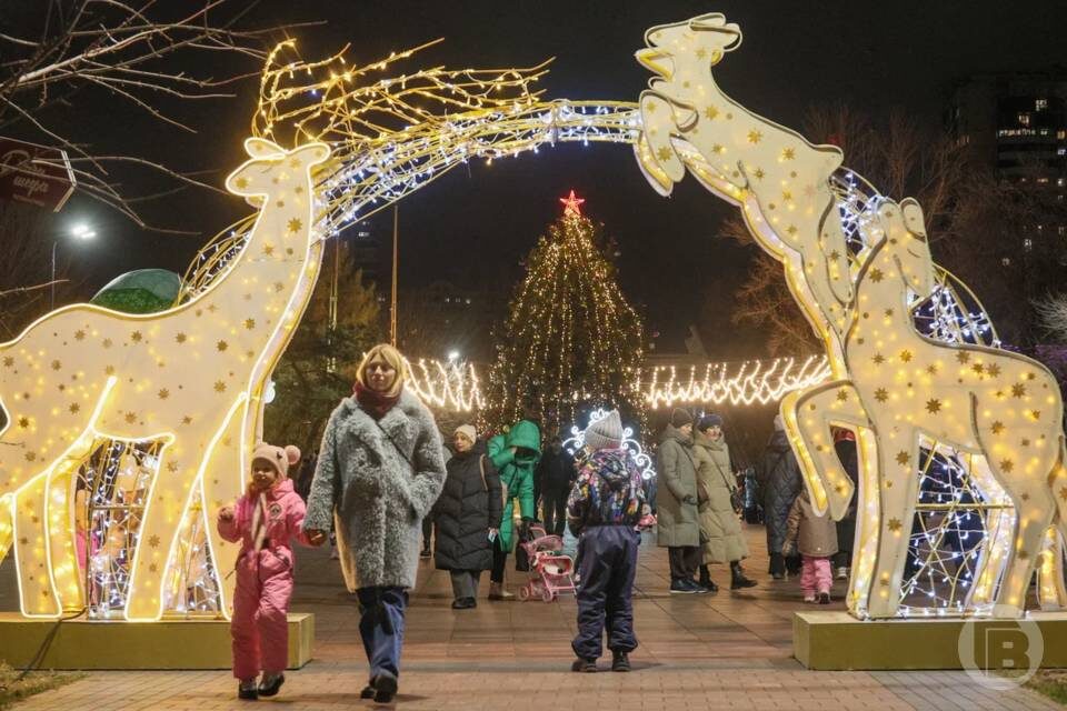    фото: Дмитрий Рогулин / "Городские вести"