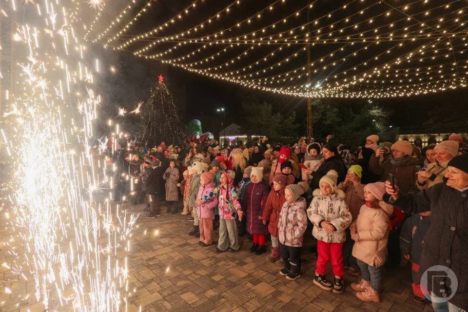    фото: Дмитрий Рогулин / "Городские вести"