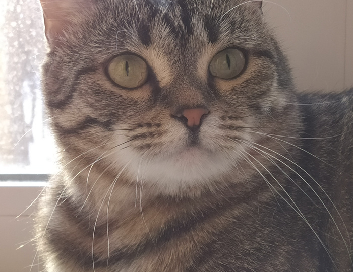 Знакомьтесь, это Майя