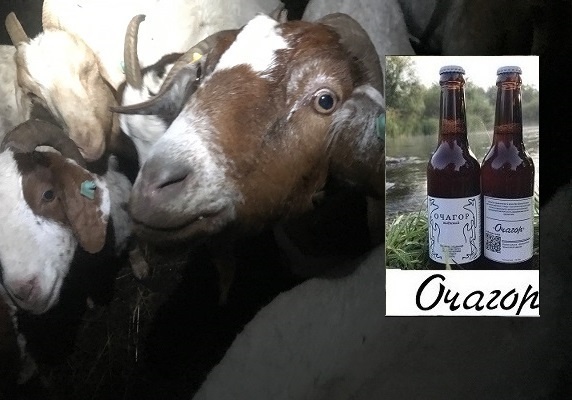 Запах козла или чувства!? Что действует сильнее?