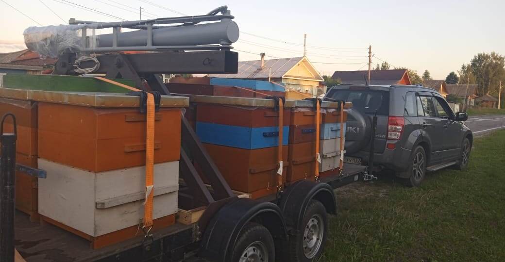 За ароматом гречишного мёда! Хроники одного медосбора. Отправляйтесь в путь вместе с нами!!!