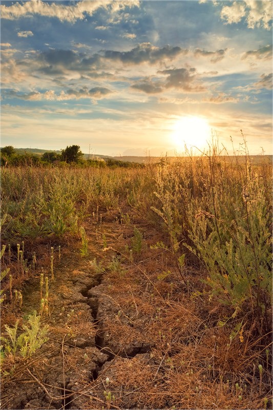Саратовская область, 2014г
