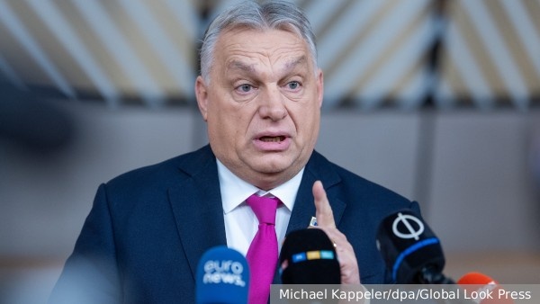     Фото: Michael Kappeler/dpa/Global Look Press   
 Текст: Вера Басилая