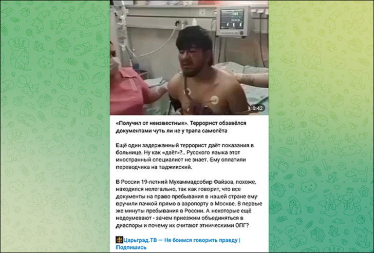    Скрин: ТГ-канал "Царьград ТВ"