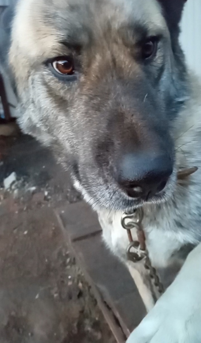 Сама доброта