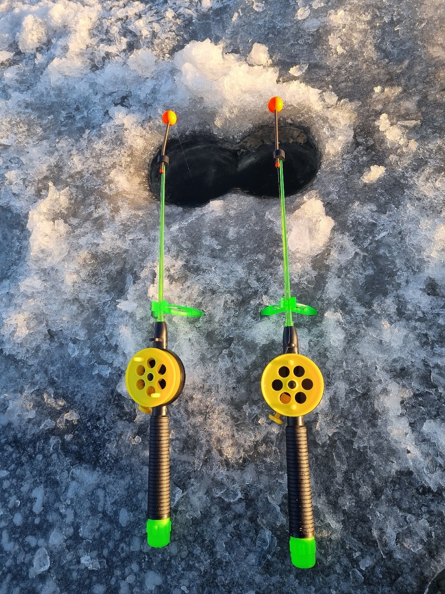 Удочки-багрилки на толстолоба и осетра