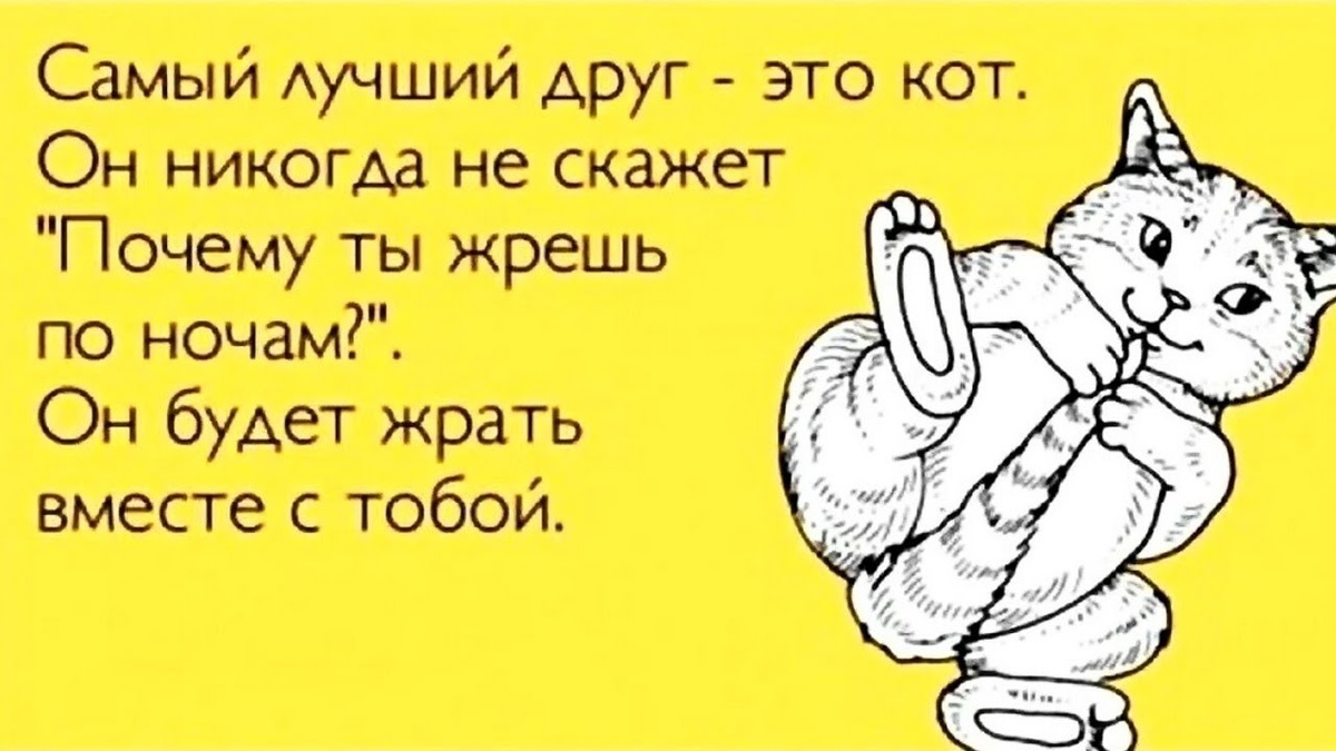 ЗаЧеМ ей мужчина, если уже есть Котик)