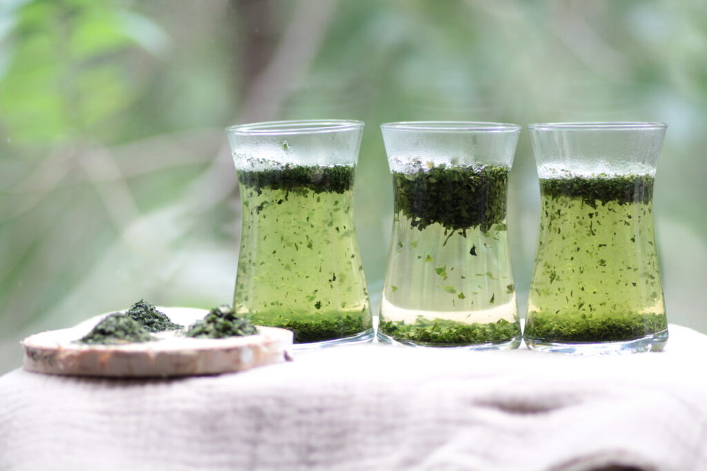 Тенча (тэнтя, tencha). Фотография Ольги Никандровой.