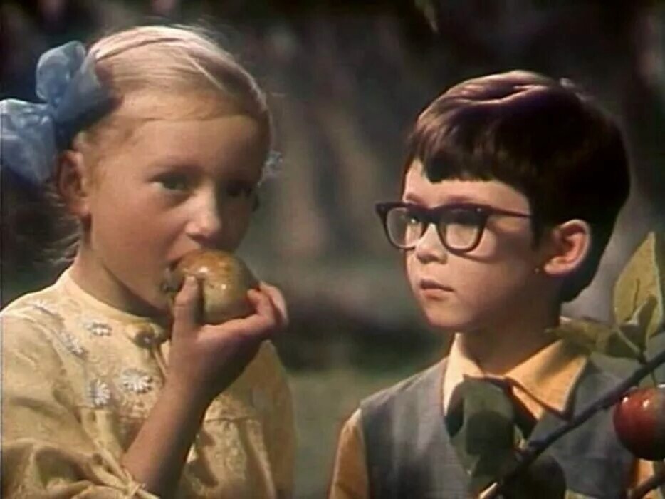 Фото из открытых источников 