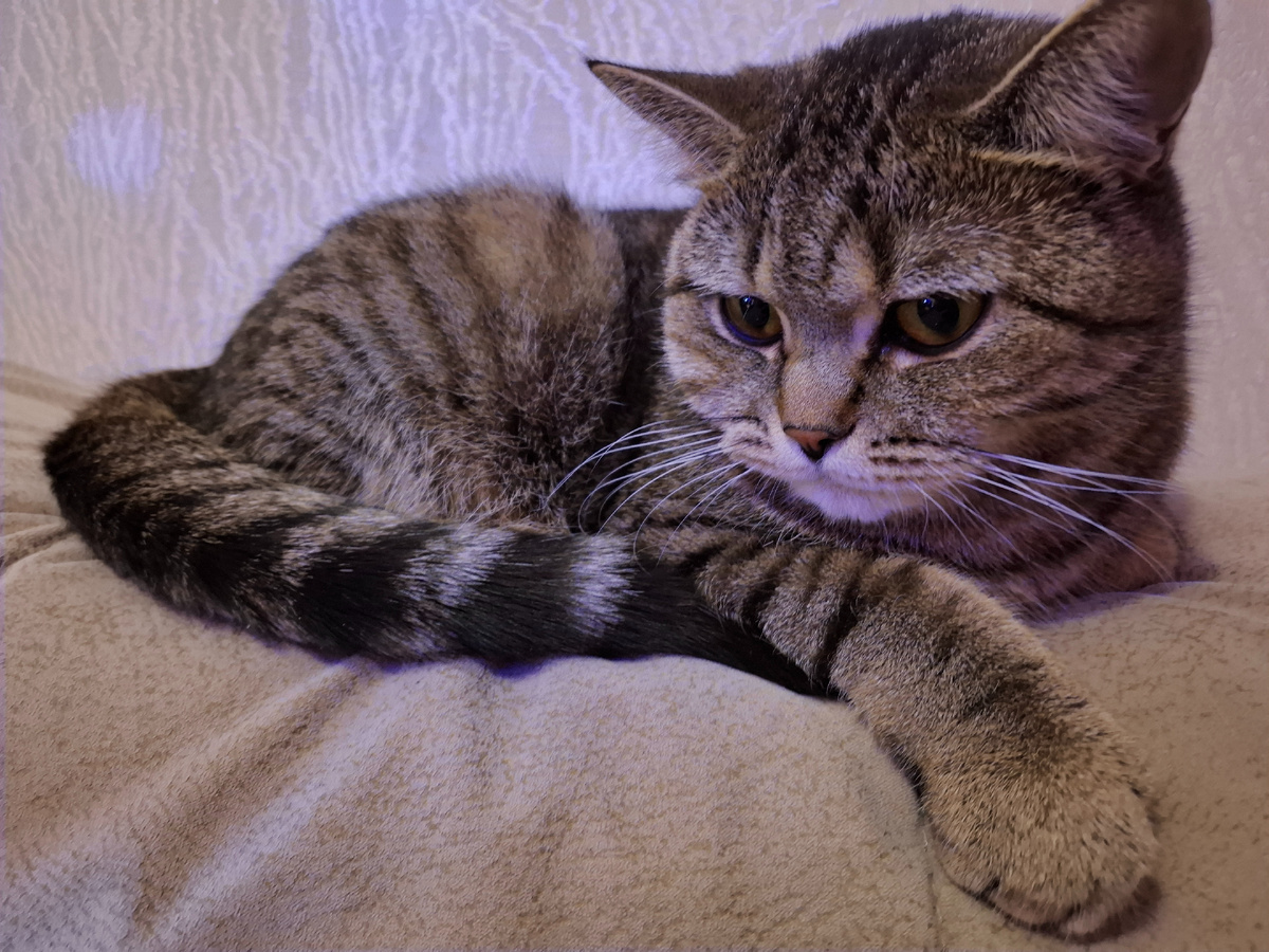 Глава нашей семьи.