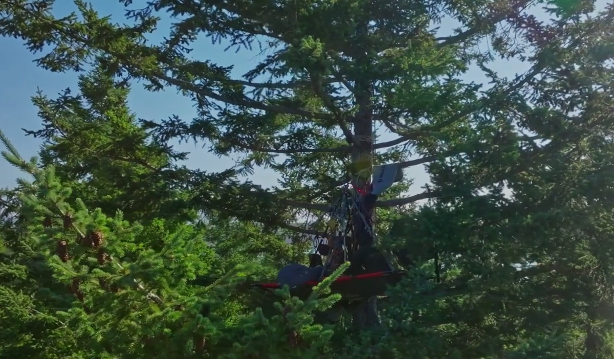 скриншот с экрана