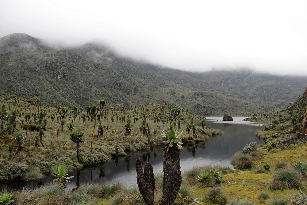 Горы Рувензори, исток Нила