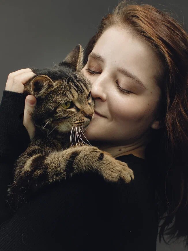 Не удивляйтесь, если поначалу кошка будет избегать людей, прятаться под кроватью или за шкафом. Не торопите события. Дайте ей возможность адаптироваться в своём темпе.