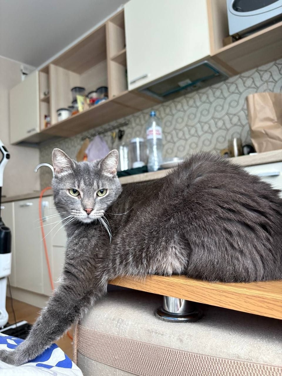 Я Лямур и моя жизнь удалась. Завидуте молча 👑