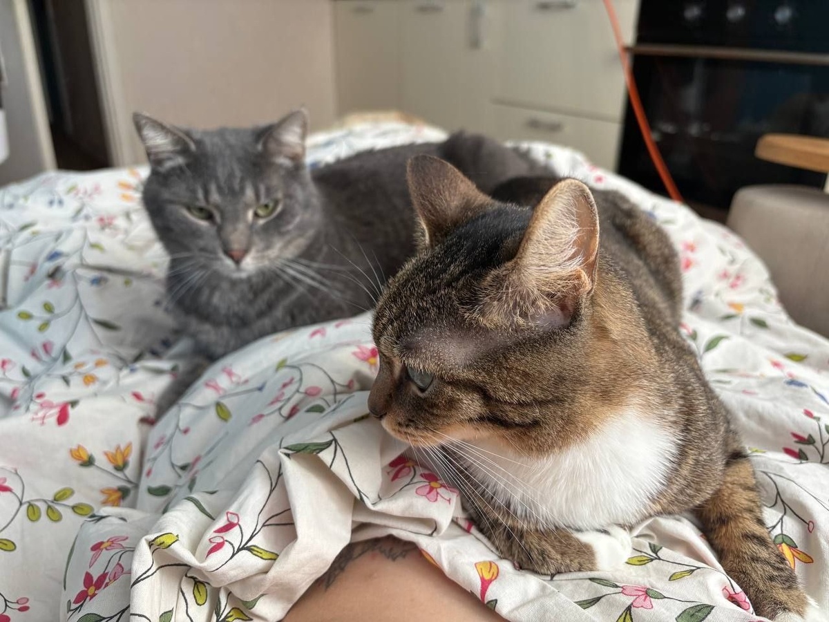 А это мой раб Яшка 😻 Вместе мы ураган 😋