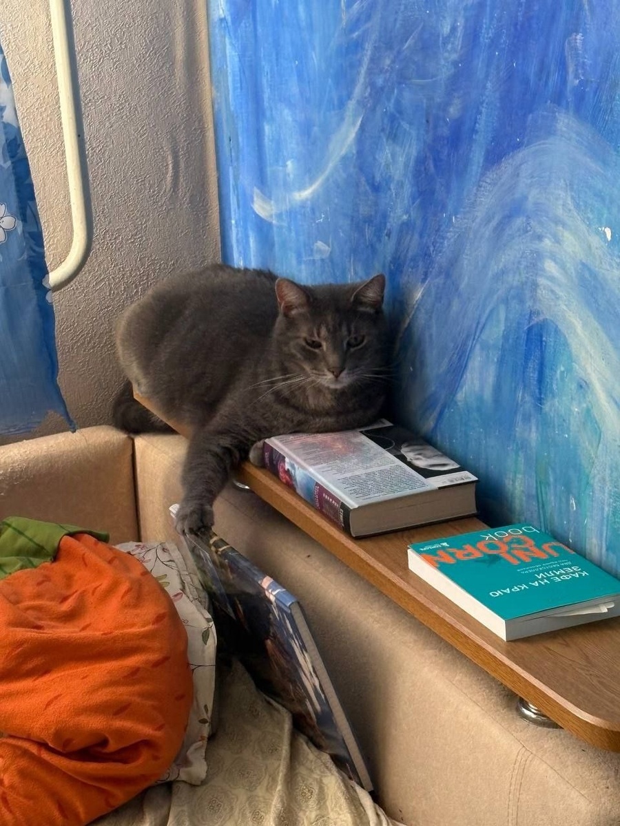 Книгу читайте мне на ночь) 