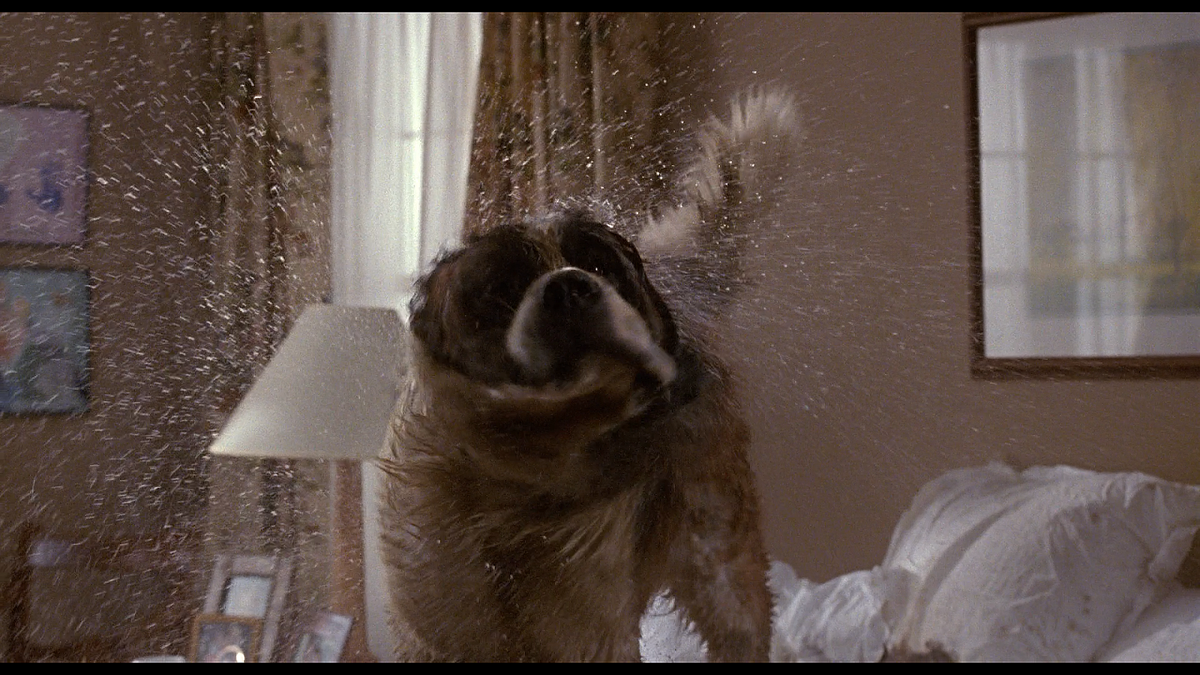 Кадр из фильма Бетховен (1992)