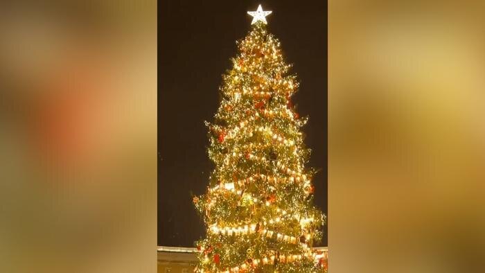 Обложка © Telegram /Александр Беглов