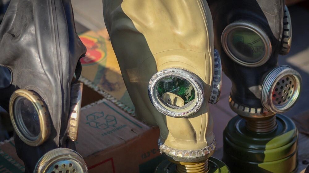    Фото: Man Sp Kedah Malaysia/Shutterstock/Fotodom