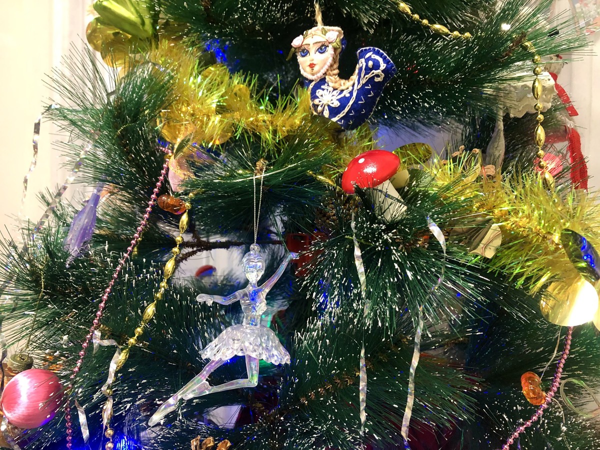    Фото: Сочи24