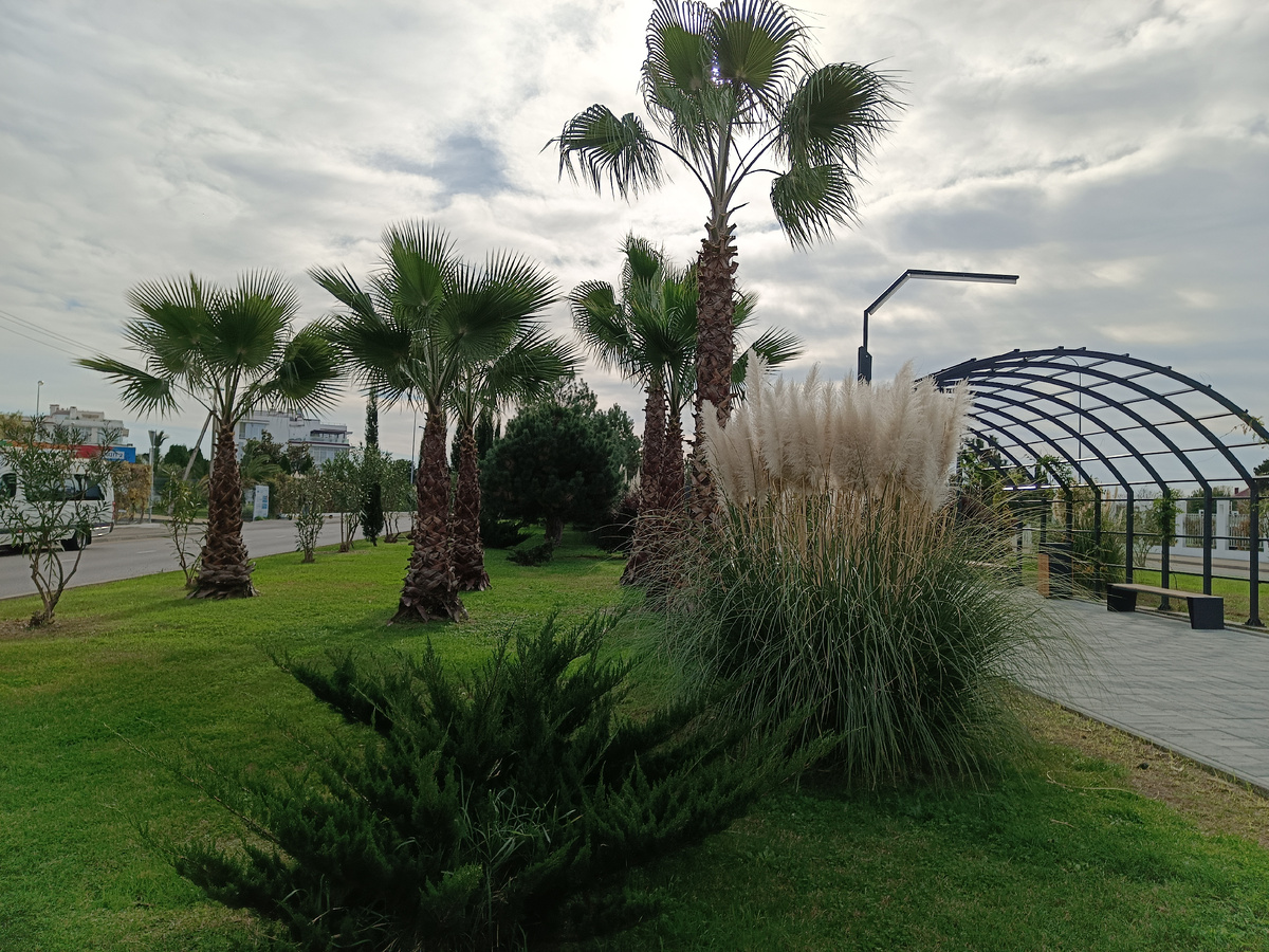 ФТ Сириус, Бульвар Надежд, декабрь 2025 года