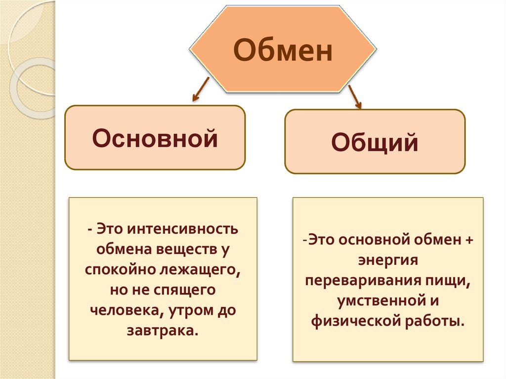 Основной и общий обмен веществ