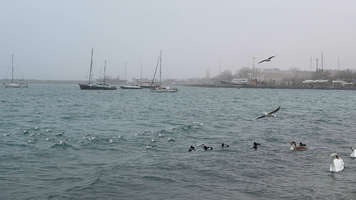 Набережная В.Терешковой в Евпатории.