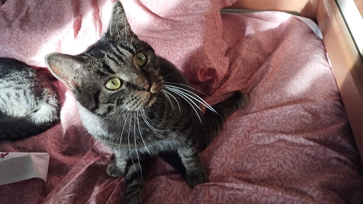 Я способна любить и могу доставить вам много радости и тепла 💛