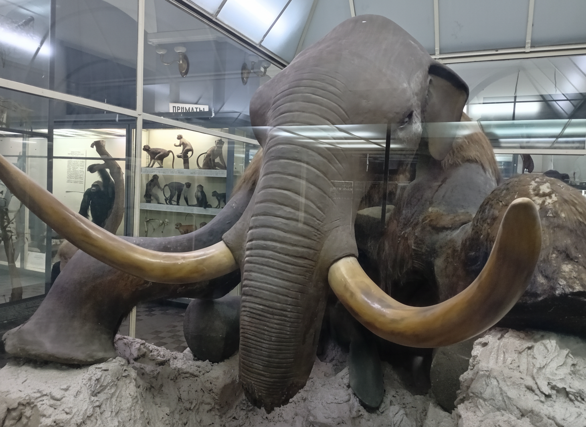 Ленский мамонт