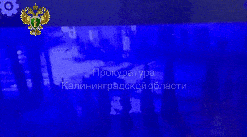    ДТП попало на видео. Скриншот ТГ-канал прокуратуры Калининградской области