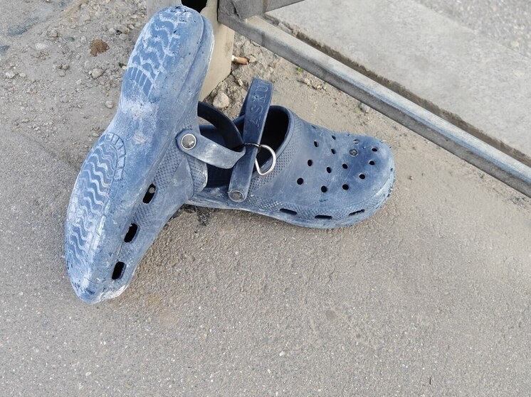     Фото: архив МК в Мурманске.