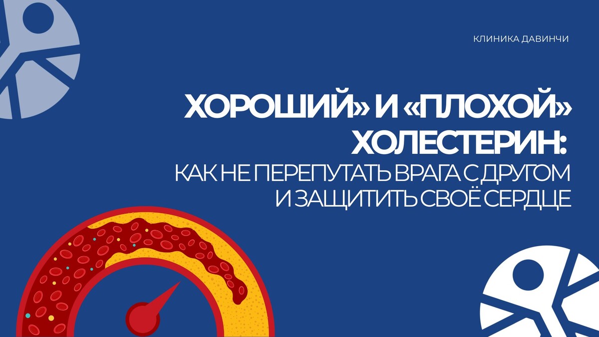 Холестерин — не враг, а индикатор. Он не говорит, что с вами что-то не так, но честно показывает, как работает ваш обмен веществ. Главное — научиться его «читать», а не бояться».