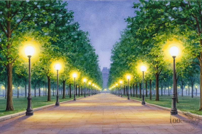 новенький сквер