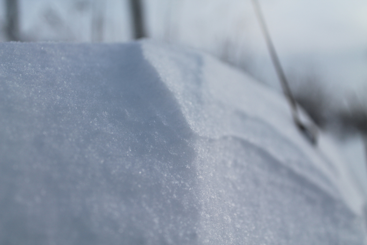 Фото автора.