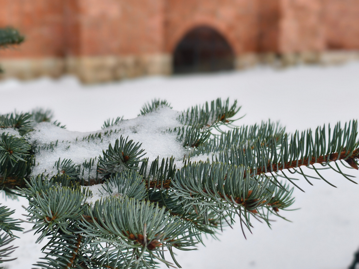 Снежный город