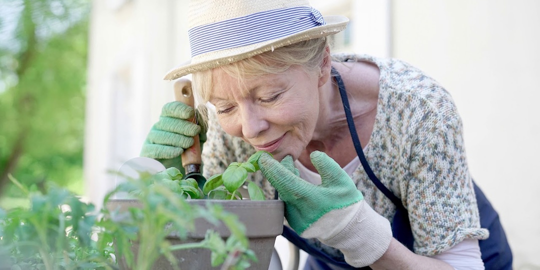 Хватит бороться