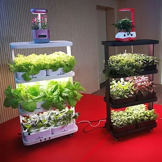 NFC-Грядка: как собрать умный гидропонный конвейер для зелени