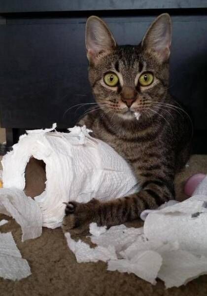 Фото из тырнета!