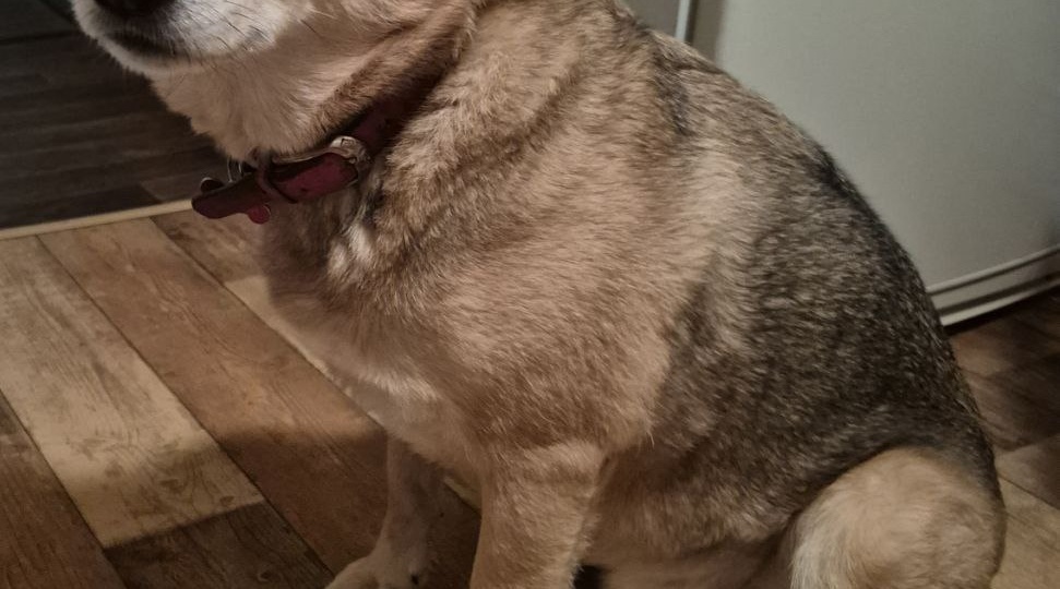 Это так мило и так приятно, что мы решили срочно этим поделиться